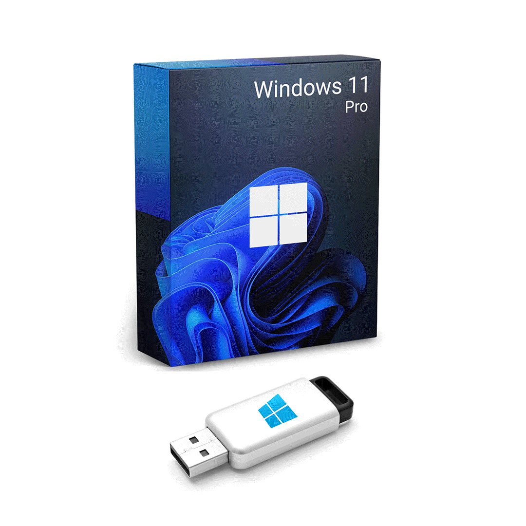 Instalare WINDOWS 10/11 PRO